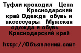 Туфли крокодил › Цена ­ 15 000 - Краснодарский край Одежда, обувь и аксессуары » Мужская одежда и обувь   . Краснодарский край